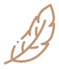 feature-item-1