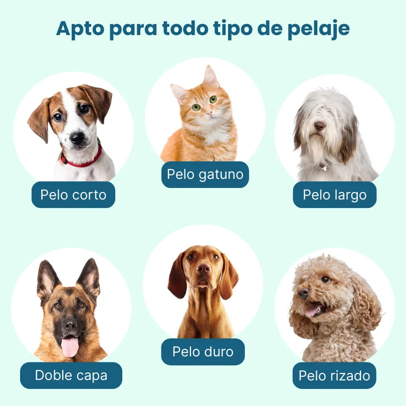PawBlend