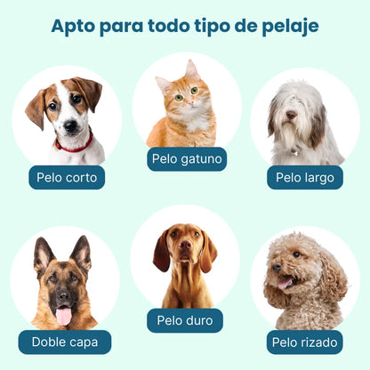 PawBlend